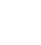 Tino Landscaping Services logo